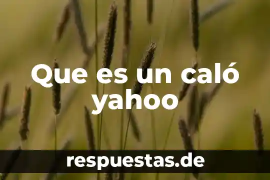 Que es un sku yahoo 4 Que es un caló yahoo