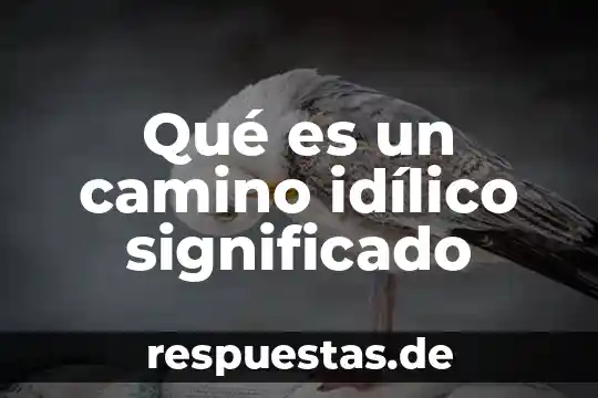 Qué es significado de fancy 8 Qué es un camino idílico significado