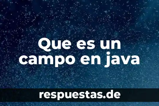 Que es un campo hidroestatico 5 Que es un campo en java