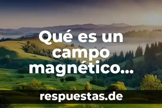 Qué es un campo magnético definición