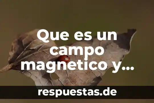 Que es un campo magnetico y sus caracteristicas