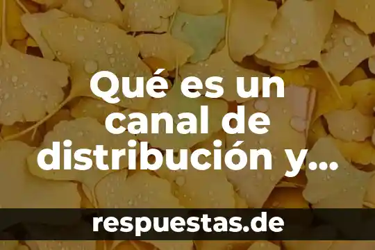 Humus que es y su importancia 6 Qué es un canal de distribución y por qué es importancia