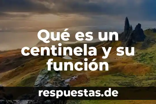 Qué es la función apelativa de la lengua 7 Qué es un centinela y su función