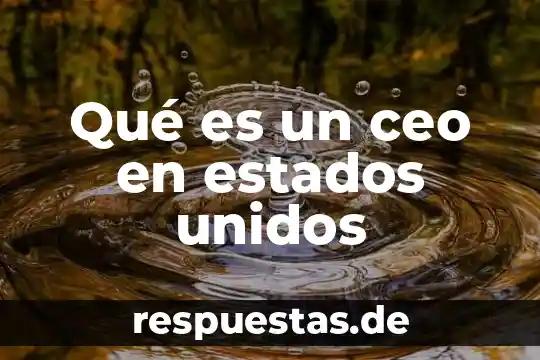 Qué es número de identificación fiscal estatal en estados unidos 6 Qué es un ceo en estados unidos