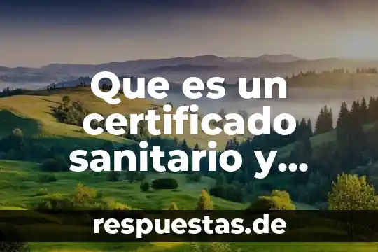 Que es una constancia de carabineros aplica en monterrey 4 Que es un certificado sanitario y como se aplica