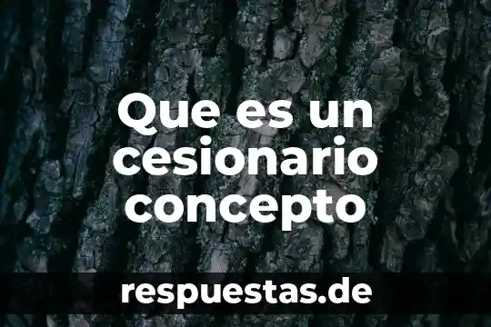 Qué es el retrato concepto 8 Que es un cesionario concepto