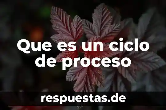 Que es la clasificacion en el proceso del pensamiento 8 Que es un ciclo de proceso