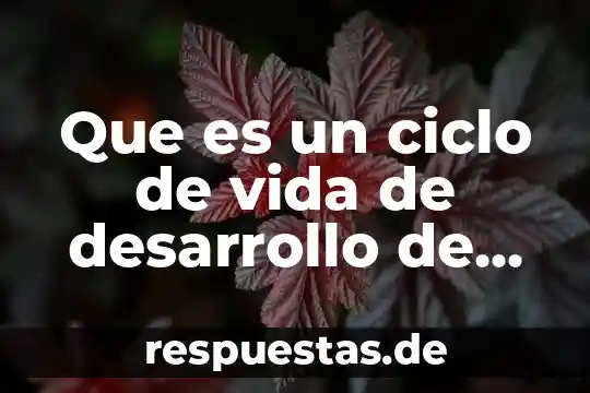 Que es el ciclo del carbono definición 4 Que es un ciclo de vida de desarrollo de software