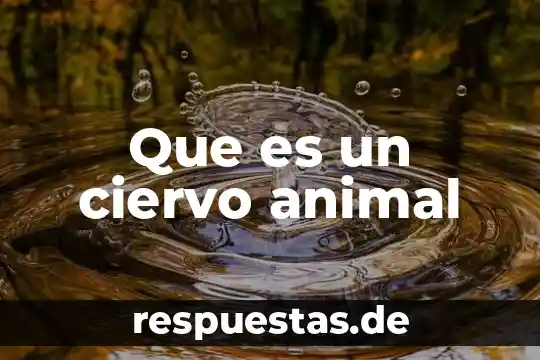 Que es posparto en una animal 7 Que es un ciervo animal