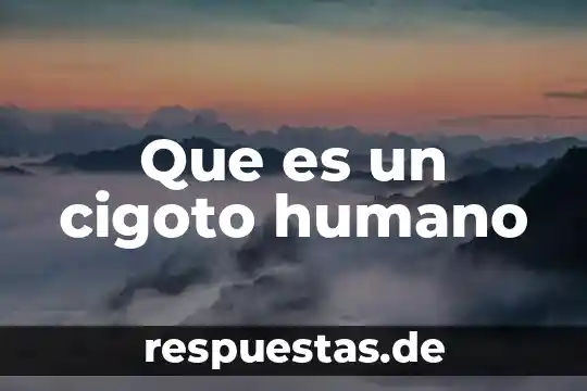 Que es un cigoto humano