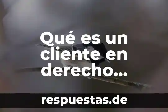 Qué es un cliente en derecho romano