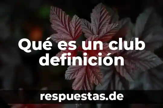 ¿Qué es mejor Sam’s Club o Costco? 8 Qué es un club definición