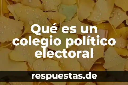 Que es asilo politico en españa 5 Qué es un colegio político electoral