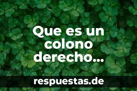 Que es un colono derecho romano