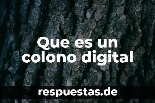 Que es el sello digital de la e firma 4 Que es un colono digital