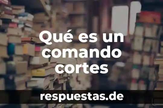 Que es un cortes de carretera 7 Qué es un comando cortes