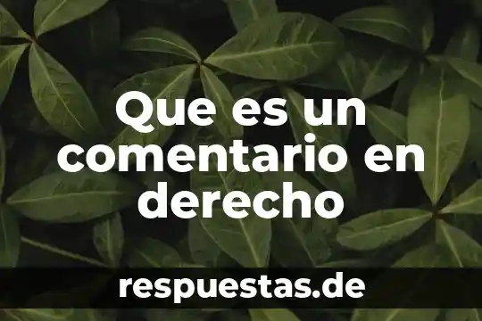 Que es el remate en derecho fiscal 6 Que es un comentario en derecho