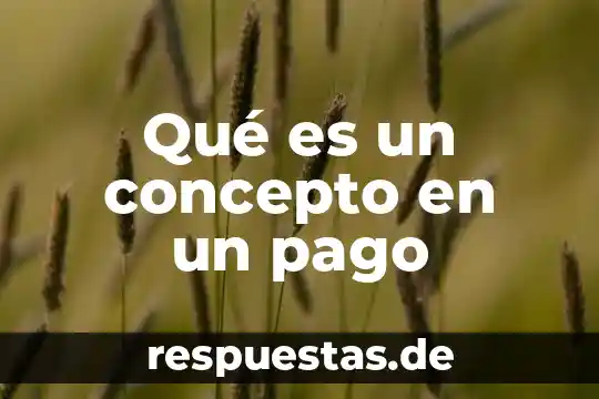Que es forma de pago paxum 6 Qué es un concepto en un pago