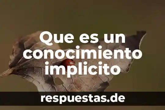Que es el significado implícito 5 Que es un conocimiento implicito