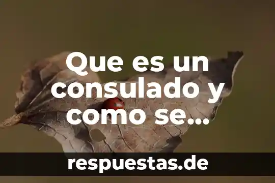 Que es config word en microcontrolador 8 Que es un consulado y como se integra