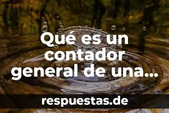 Qué es disposición general del cuerpo animal 6 Qué es un contador general de una empresa