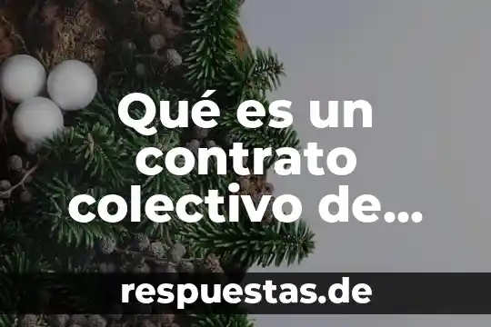 Que es un aborto eugenesico en mexico 4 Qué es un contrato colectivo de trabajo en México UNAM