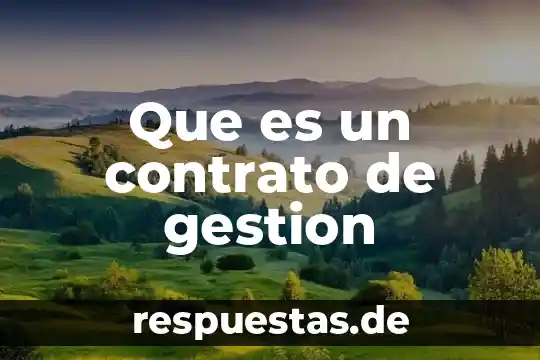 Que es conocimiento resumen corto 8 Que es un contrato de gestion