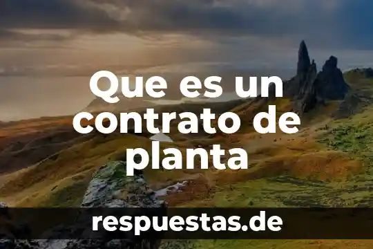 Que es un contrato exprés 4 Que es un contrato de planta