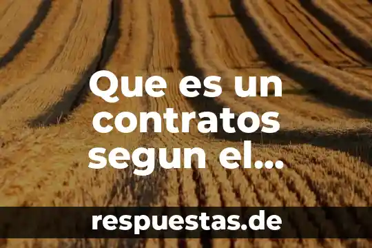 Que es un contratos segun el codigo civil
