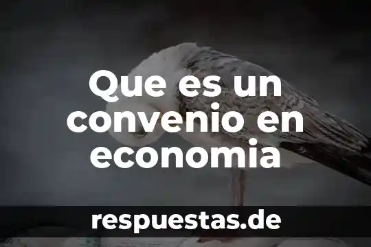 Que es un convenio en economia