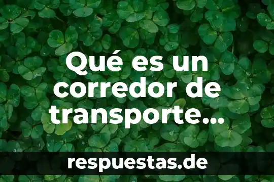 Qué es un corredor de transporte público