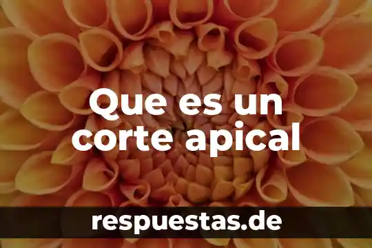 Qué es el corte de listón 6 Que es un corte apical