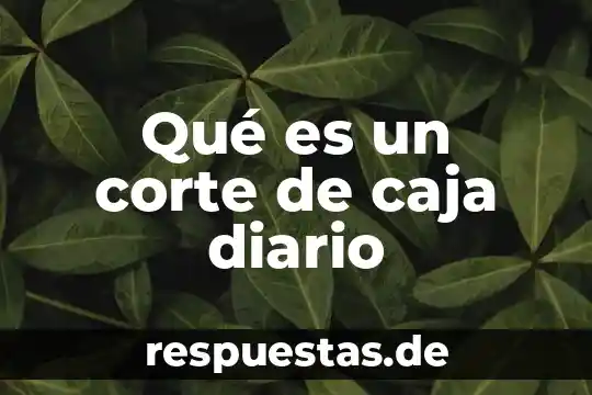 Que es un libro diario y mayor 5 Qué es un corte de caja diario