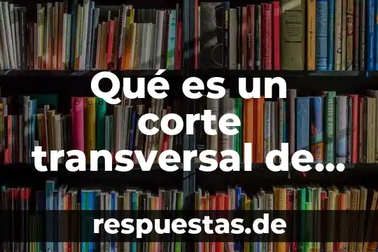 Que es el significado de biblia 4 Qué es un corte transversal de enfermería