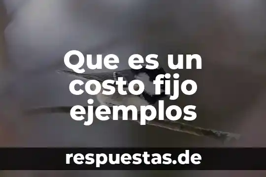 Que es costo indirecto fijo 5 Que es un costo fijo ejemplos