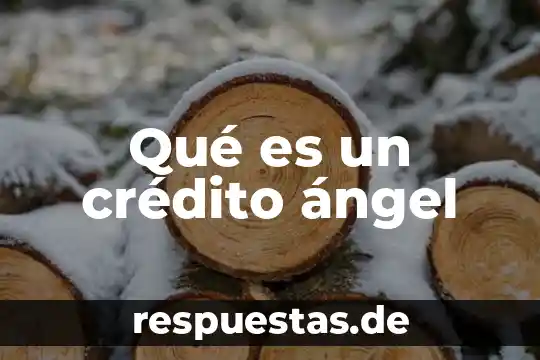 Qué es la norma de crédito 3 Qué es un crédito ángel