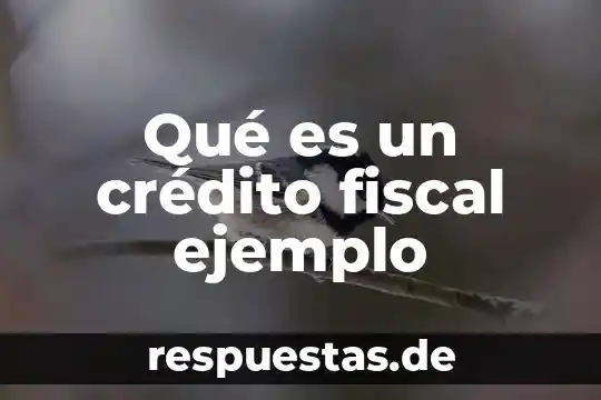 Qué es un crédito en una conciliación 3 Qué es un crédito fiscal ejemplo