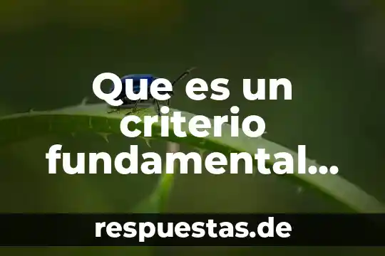 Qué es la teoría jurídica fundamental 6 Que es un criterio fundamental en derecho