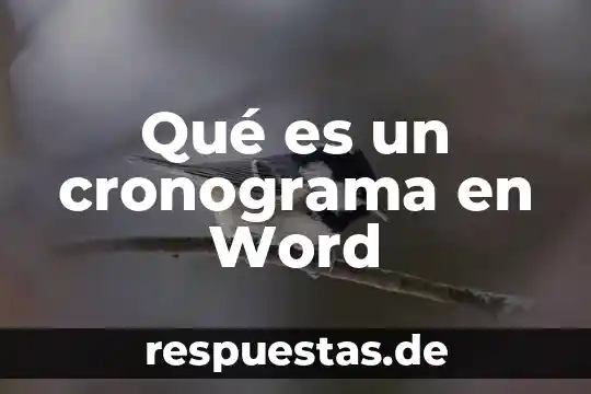 Qué es un hipervinculo word 2010 5 Qué es un cronograma en Word