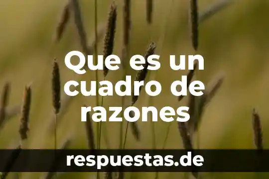 Que es un cuadro de razones