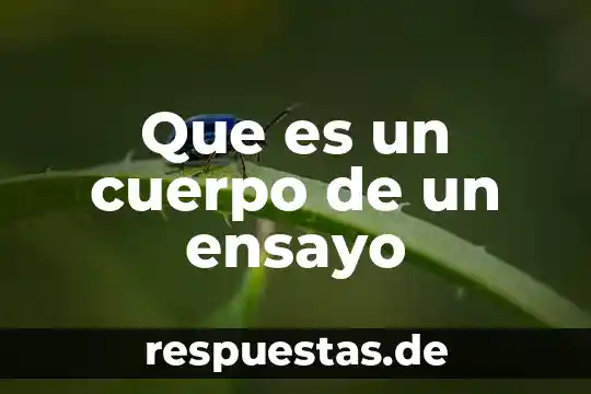 Que es un cuerpo de un ensayo