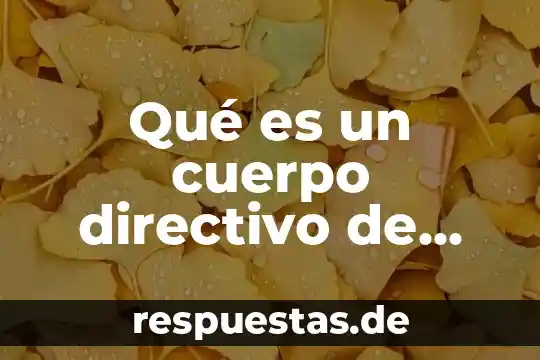 Que es la etica y los valores en una institucion 6 Qué es un cuerpo directivo de institución
