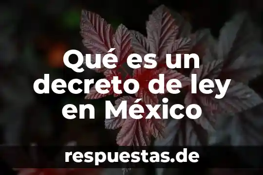 Qué es un decreto de ley en México