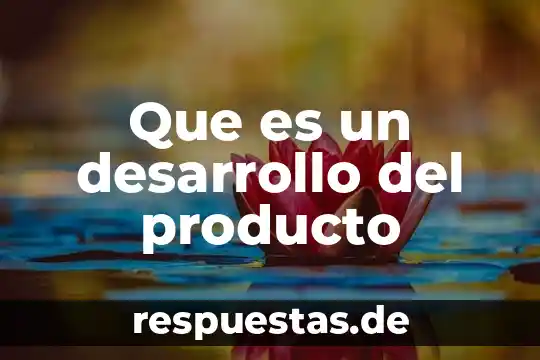 Que es el concepto inicial de un producto 5 Que es un desarrollo del producto