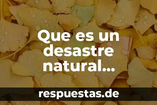 Qué es la ley natural y la conciencia 8 Que es un desastre natural huracan