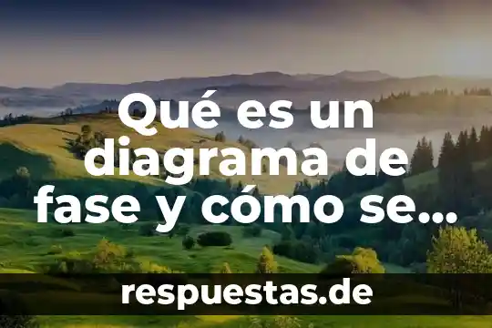 Que es un diagrama de flujo libros de logistica 4 Qué es un diagrama de fase y cómo se construye