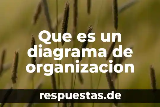 Que es un diagrama de flujo de señal 6 Que es un diagrama de organizacion