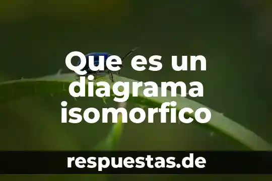 Que es diagrama momento 5 Que es un diagrama isomorfico