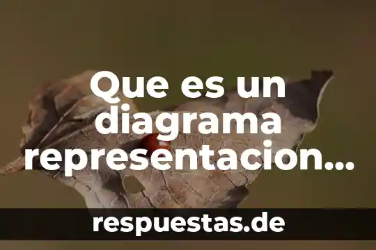 Qué es una representación social en psicología 3 Que es un diagrama representacion grafica