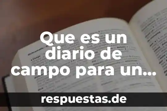 Que es un libro diario y mayor 3 Que es un diario de campo para un niño